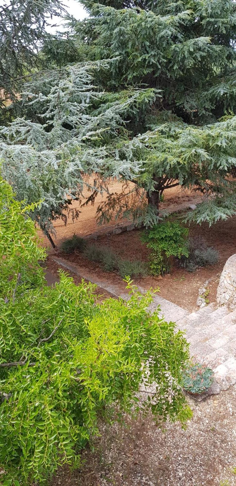 Villa Isabella Ostuni Zewnętrze zdjęcie