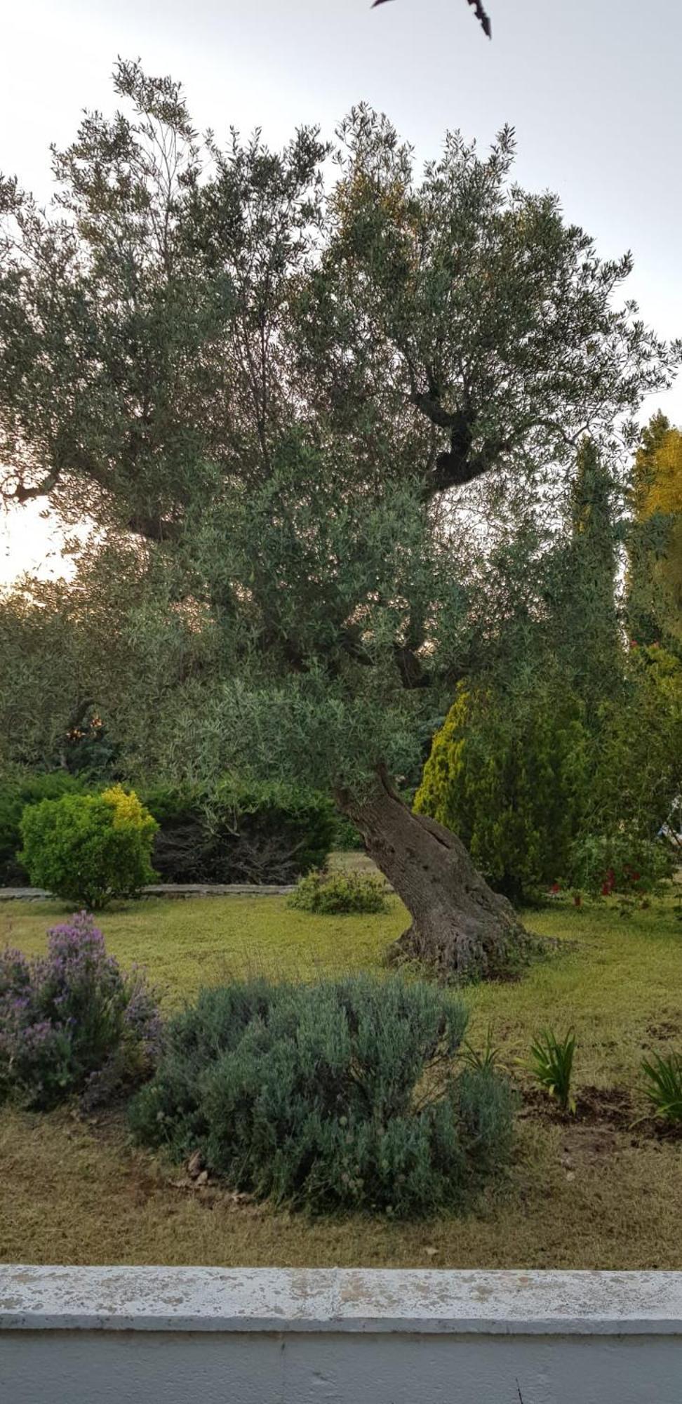 Villa Isabella Ostuni Zewnętrze zdjęcie